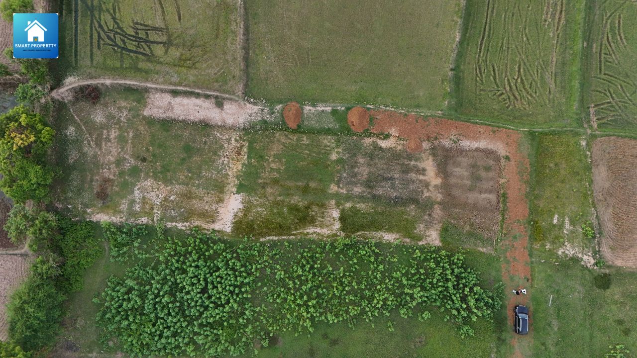 Low budget Plot for sale in balasore
