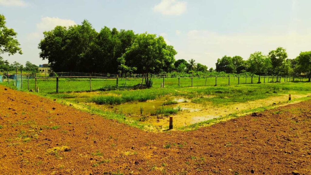 Property for Sale in Balasore 